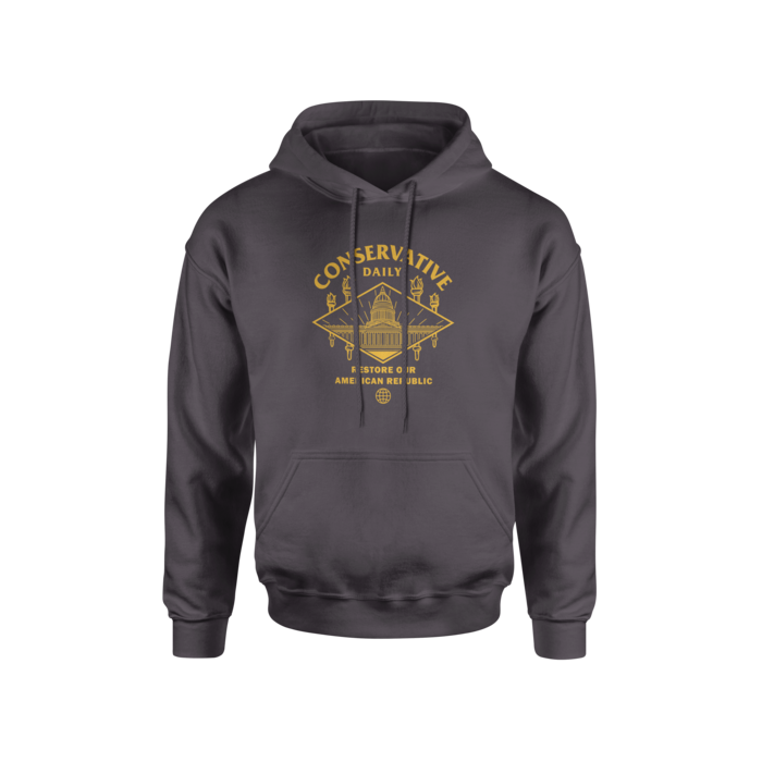 Restore Republic - Hoodie